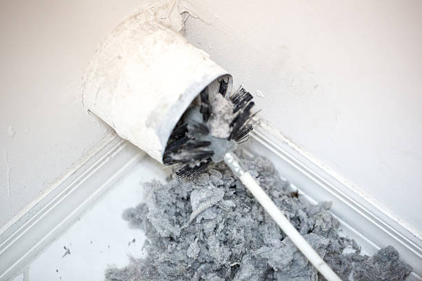 Best Ductwork Cleaning Services  in Premont, TX